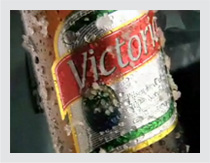 Victoria Video
